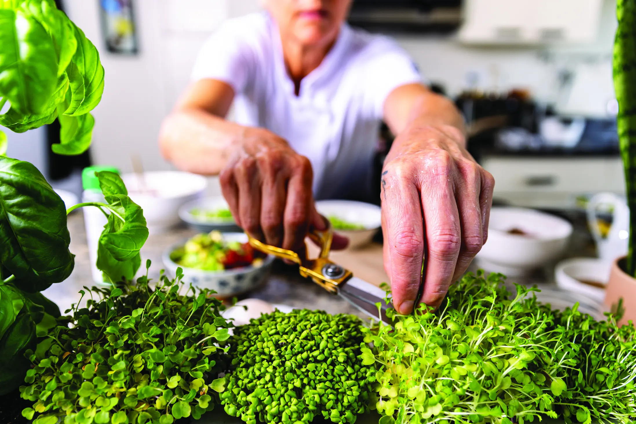 burkensyme_chef-anne-03